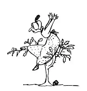 Edward Lear A Book of Nonsense 58.jpg