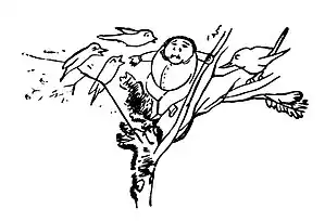 Edward Lear A Book of Nonsense 66.jpg