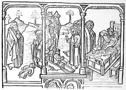 Elijah Raiseth The Widow's Son.png