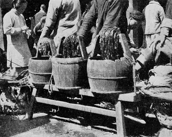 Farmers of forty centuries - “Salted cabbage,” prepared from young rape, displayed for sale.jpg