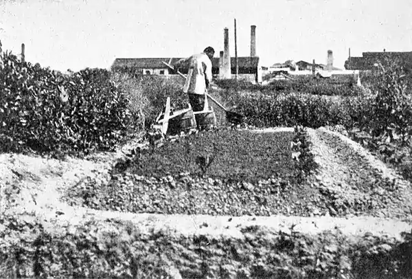 Farmers of forty centuries - Applying of liquid manure from carrying pails.jpg