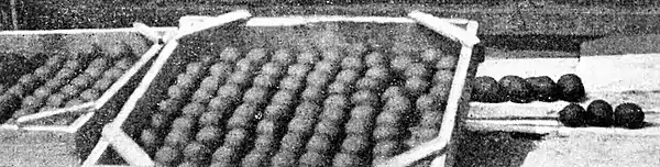 Farmers of forty centuries - Charcoal balls.jpg