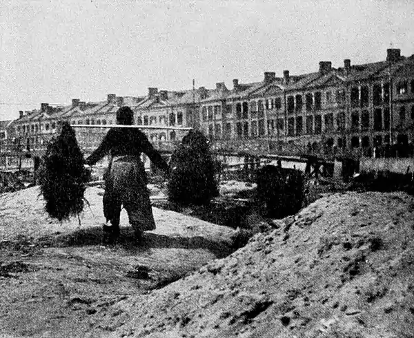 Farmers of forty centuries - Cotton stem fuel being conveyed.jpg