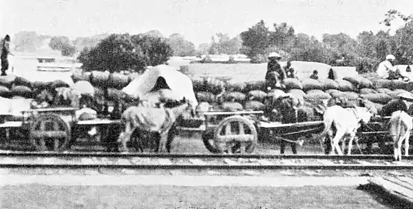 Farmers of forty centuries - Exportation of soy beans from Manchuria.jpg