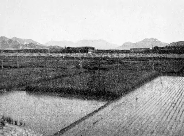 Farmers of forty centuries - Fields of matting rush with recently transplanted rice (Japan).jpg