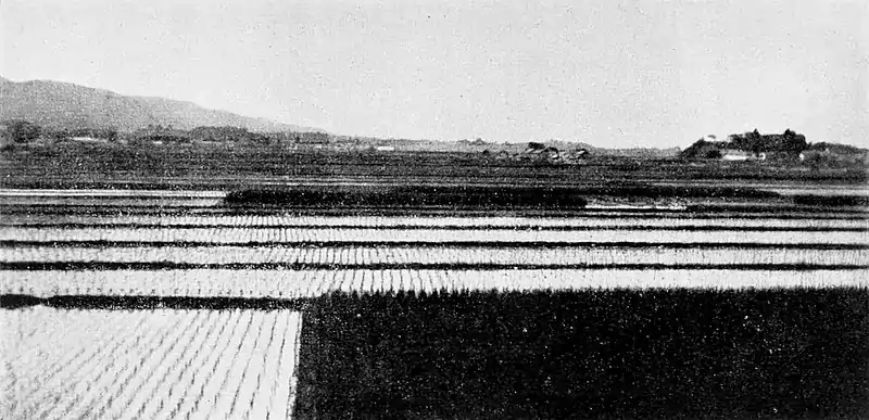 Farmers of forty centuries - Fields of rice and matting rush (Japan).jpg