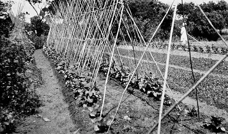 Farmers of forty centuries - Increasing the available surface of the field.jpg