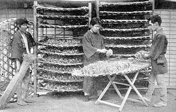 Farmers of forty centuries - Providing places for silkworms to spin their cocoons, Japan.jpg
