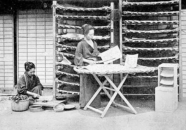 Farmers of forty centuries - Removing silkworm eggs from sheets of paper, Japan.jpg