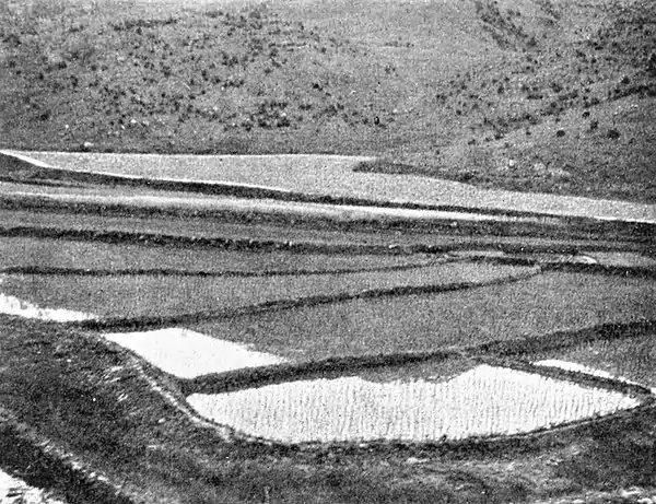 Farmers of forty centuries - Rice paddies at head of mountain valley.jpg