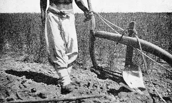 Farmers of forty centuries - Shantung plow.jpg