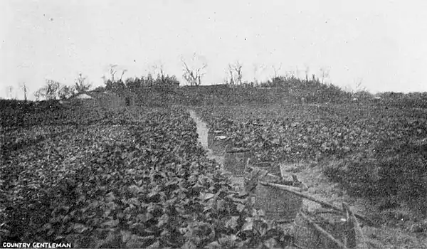 Farmers of forty centuries - Six carrying pails.jpg
