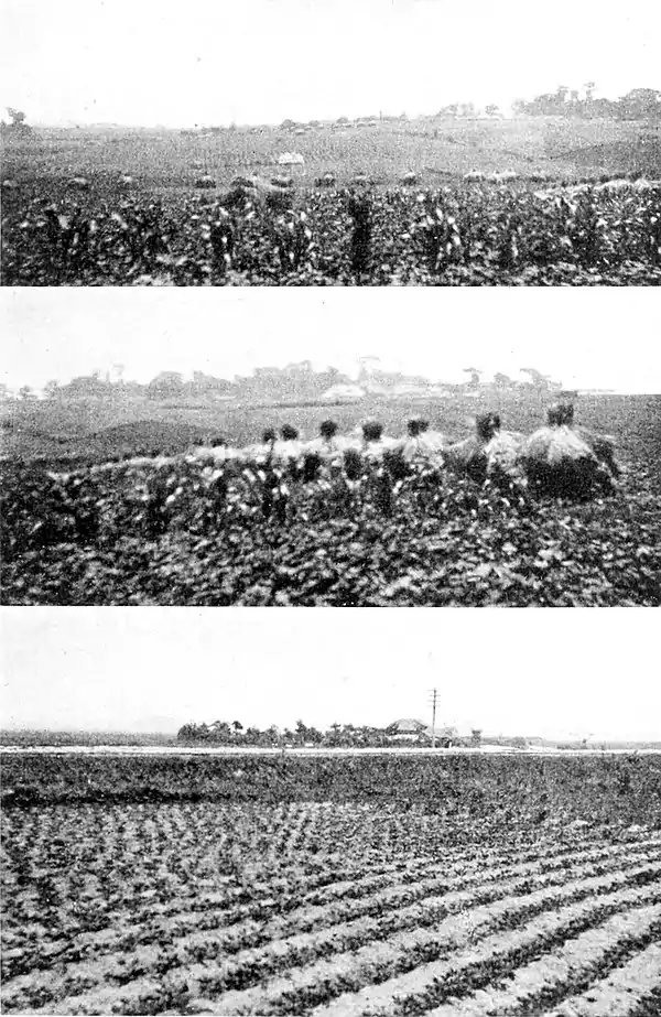 Farmers of forty centuries - Three landscapes in the Tokyo plain.jpg