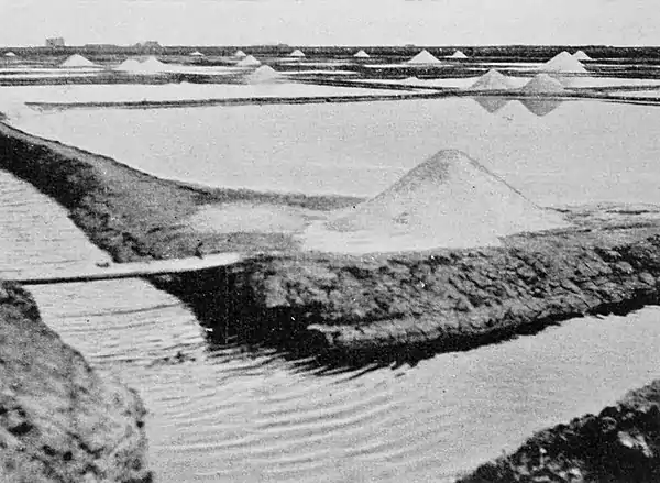 Farmers of forty centuries - evaporating basins with piles of salt.jpg
