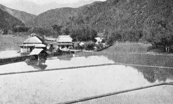Farmers of forty centuries - houses standing in rice paddies (Japan).jpg