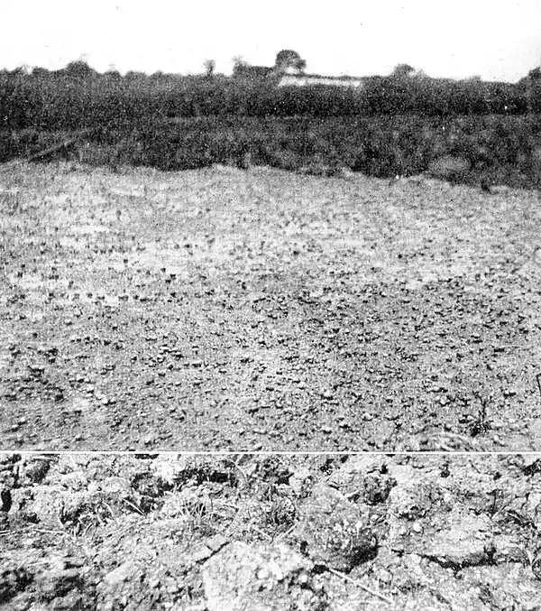 Farmers of forty centuries - recently removed canal mud, charged with large snail shells.jpg