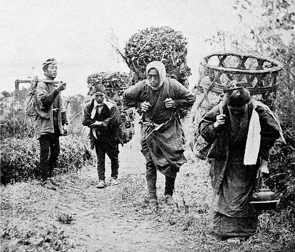 Farmers of forty centuries - returning from genya lands with herbage.jpg