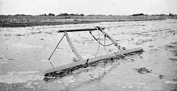 Farmers of forty centuries - smoothing, pulverizing harrow, Chekiang, China.jpg