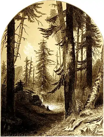 Forest Hymn pg 25.jpg