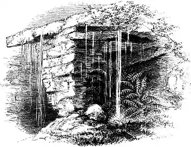 Forest Hymn pg 41b.jpg