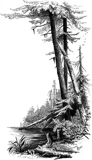 Forest Hymn pg 67b.jpg