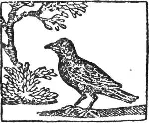 Goody Two-Shoes (1881)-19.png