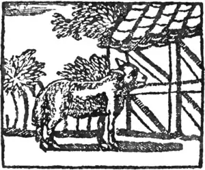 Goody Two-Shoes (1881)-22.png