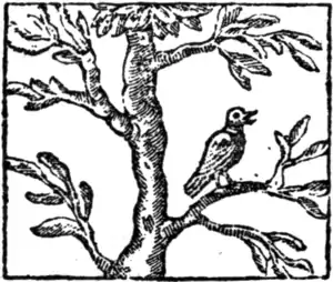 Goody Two-Shoes (1881)-28.png