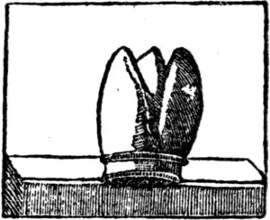 Goody Two-Shoes (1881)-30.png