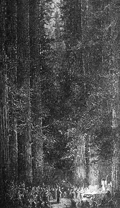 Click on image to enlarge.