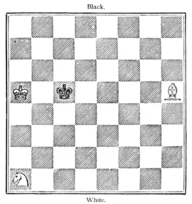 Fig. 20.[White to Move and Win.]