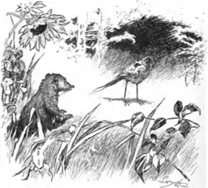 Jungle book p233.png