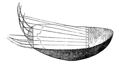 Lake Ngami-p193b.png