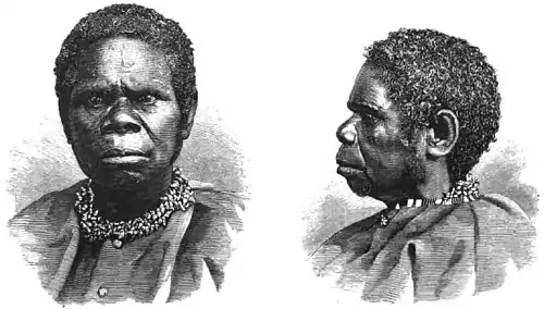 Last of the Tasmanians Woodcut 13 - Lalla Rookh or Truganina.jpg