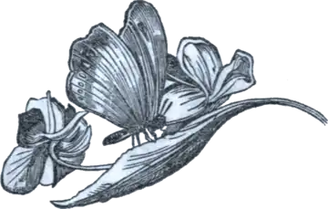 Little Ellie and Other Tales (1850) - p.33.png