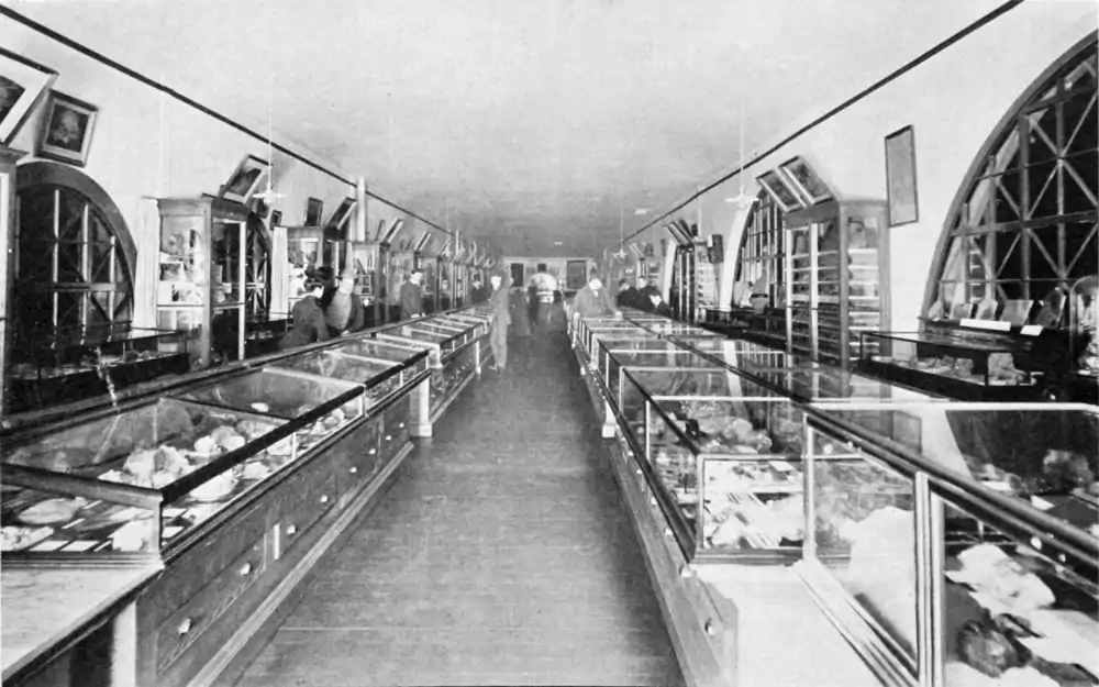 Looters of the Public Domain 410.png