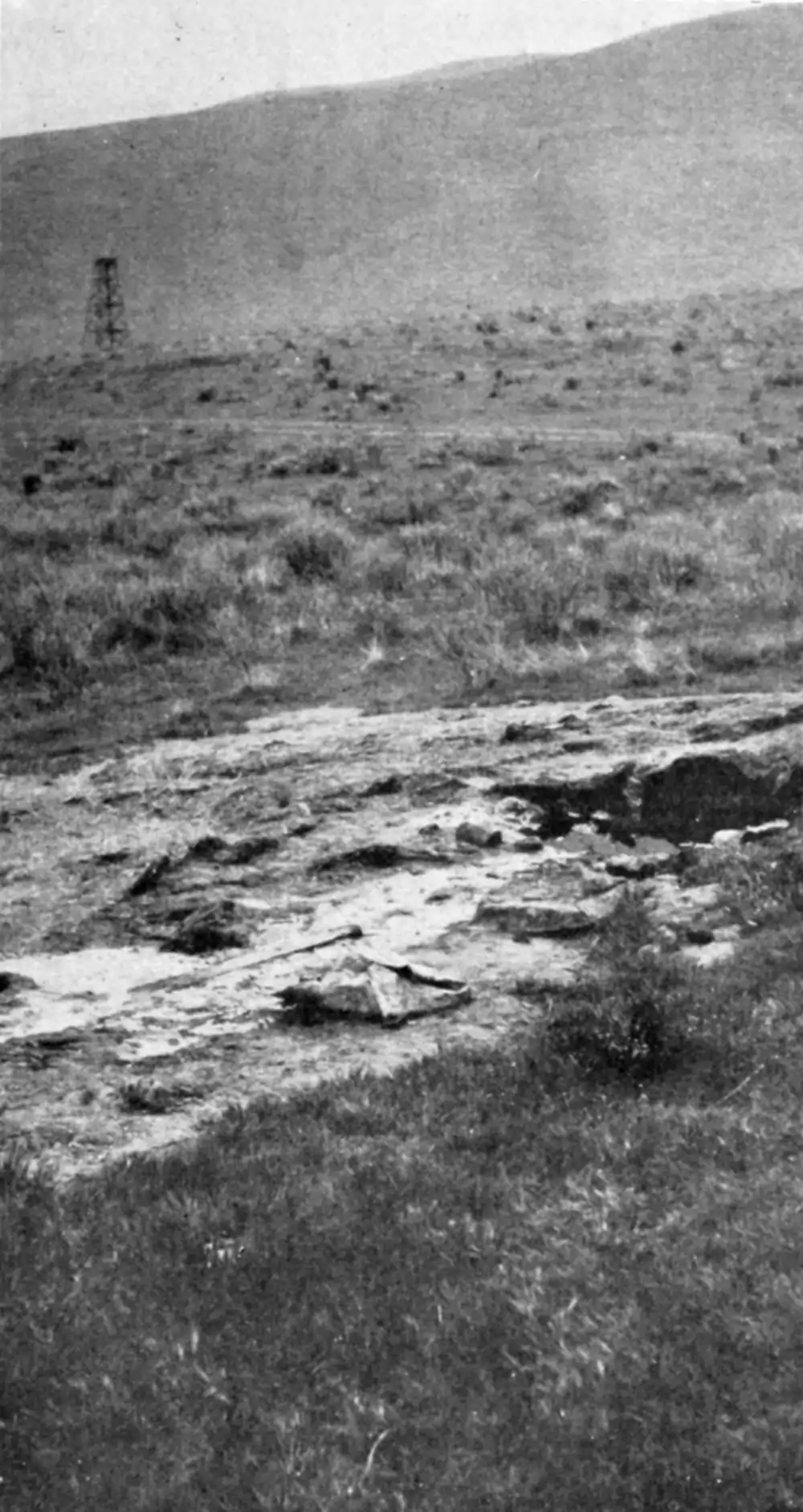 Looters of the Public Domain 413.png