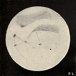 Lowell - Mars (1896) - Plate 25 Figure 3.jpg