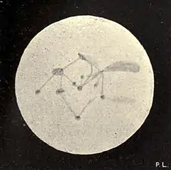 Lowell - Mars (1896) - Plate 26 Figure 1.jpg