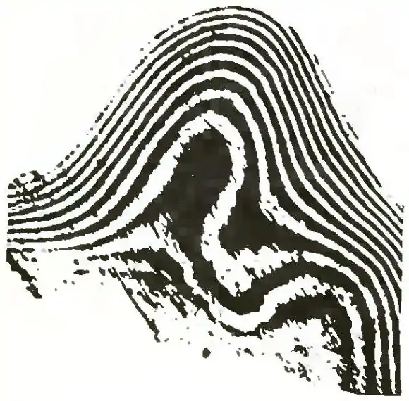 Michelson Light waves and their uses fig046.jpg