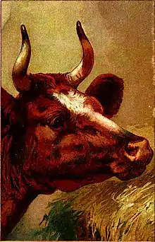 Moo cow tales - colour plate 03.jpg
