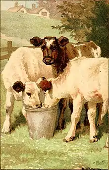 Moo cow tales - illustration at p03.jpg