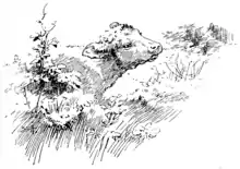 Moo cow tales - illustration at p05.png