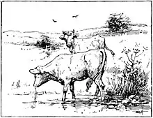 Moo cow tales - illustration at p21.jpg