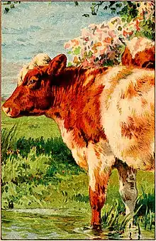 Moo cow tales - illustration at p27.jpg