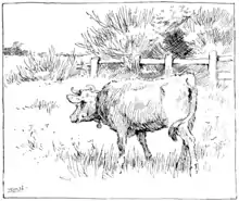 Moo cow tales - illustration at p51.png