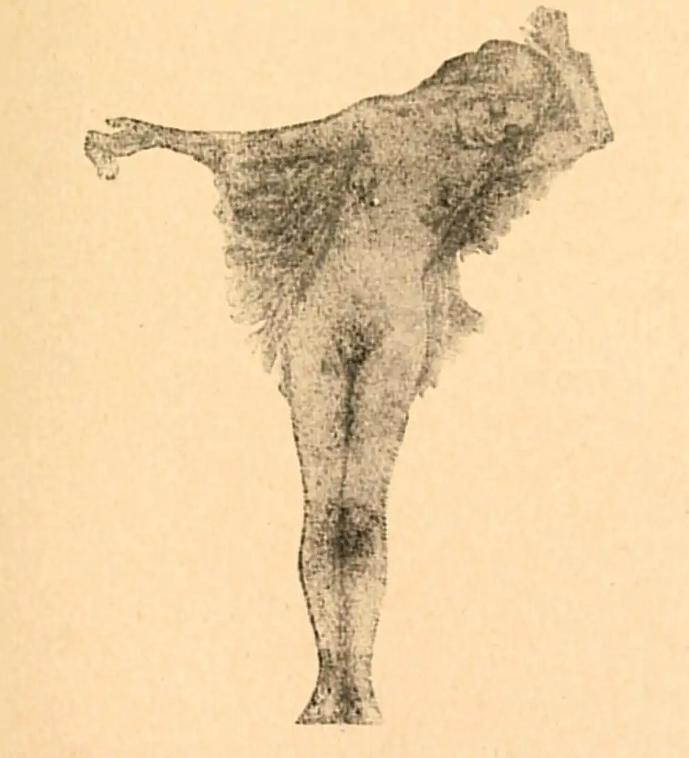 My Life and Loves 0125.jpg