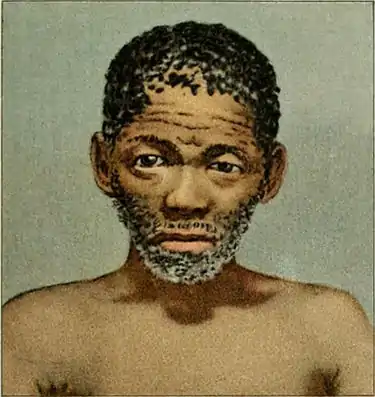 NIE 1905 Africa - Bushman Type South Africa.jpg