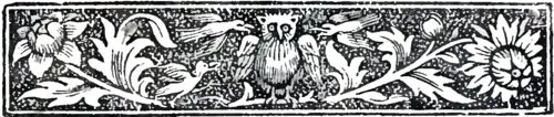 Owlheader.png