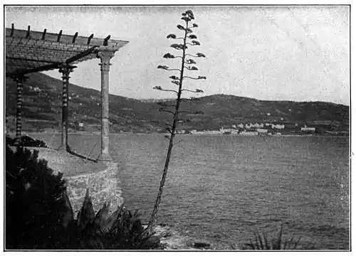 P261 - The Lightning Conductor.jpg